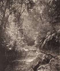 フォルモサ島の峠